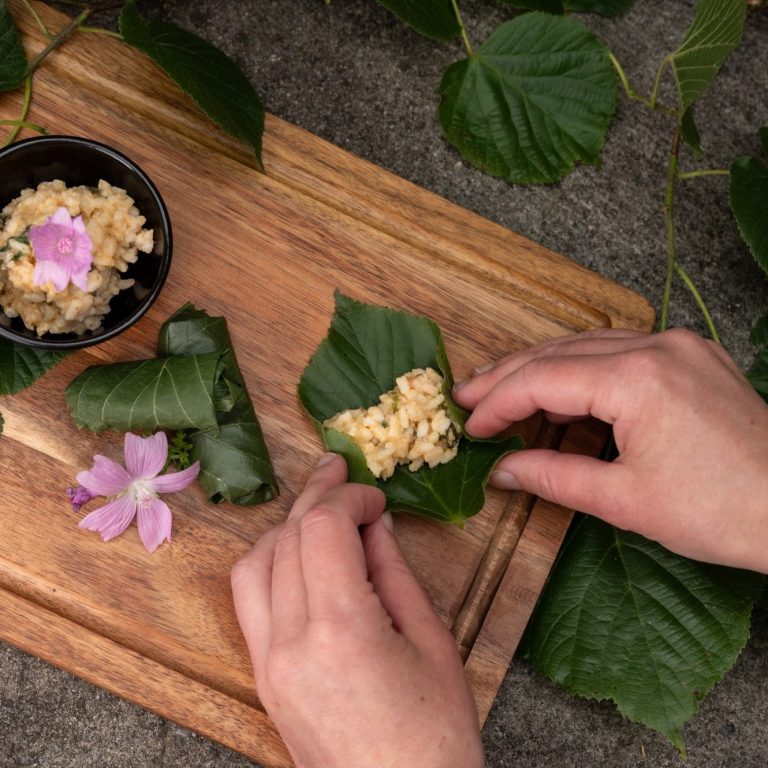 Chrüter Liäbi Zubereiten von Wildkräutern für die Küche. Obwalden, Kerns und Luzern, Entlebuch für Gruppen, Familien, Einsteiger, Anfängerin