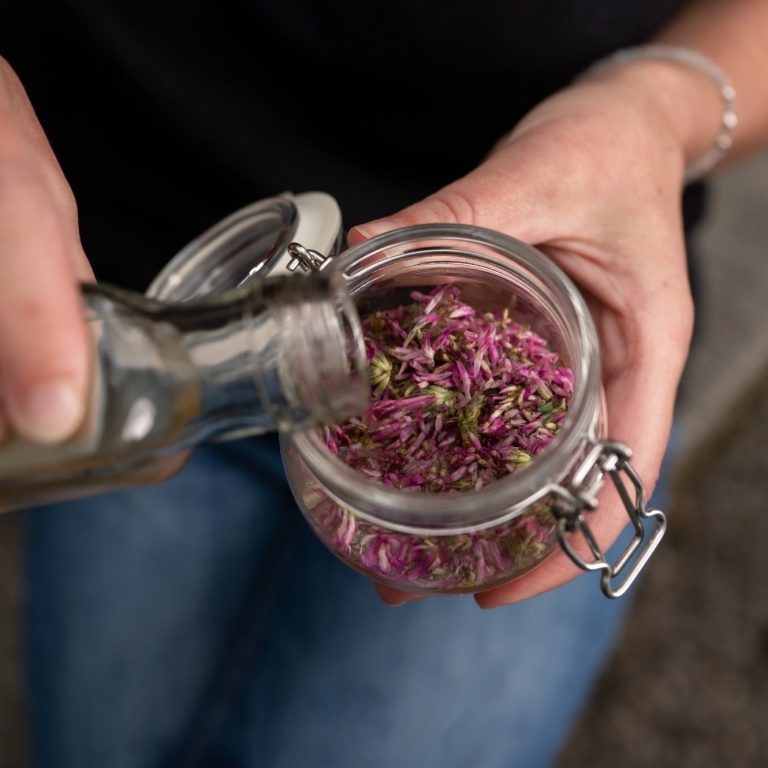 Workshop Hausapotheke, Heilmittel, Naturkosmetik, Kräuterküche, Kochen mit Wildkräutern