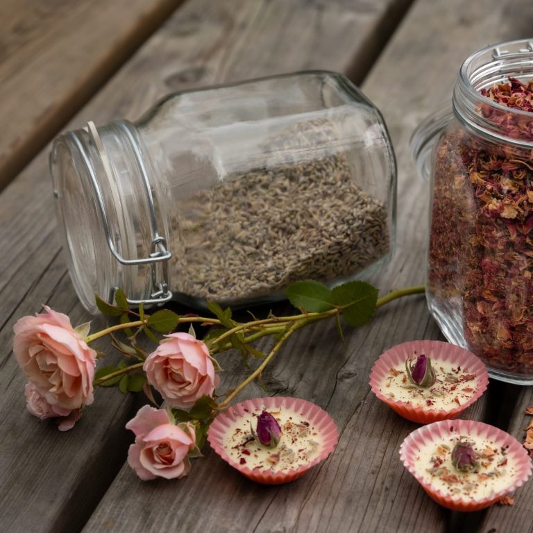 Chrüter Liäbi Wildkräuterwanderung im Kanton Obwalden und im Entlebuch, Luzern. Pflanzen bestimmen, sammeln, Naturprodukte herstellen.